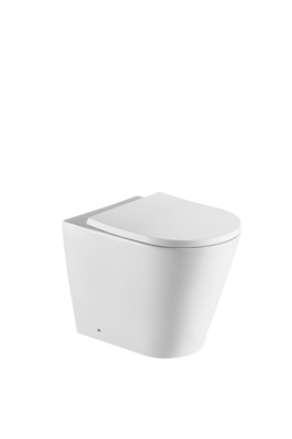 Artesan Ariel Rimless Back to Wall Pan - White (excl. concealed cistern)