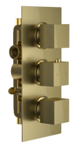 Bedgebury Double Outlet - Three Controls - Concealed Thermostatic Valve - Brushed Brass 